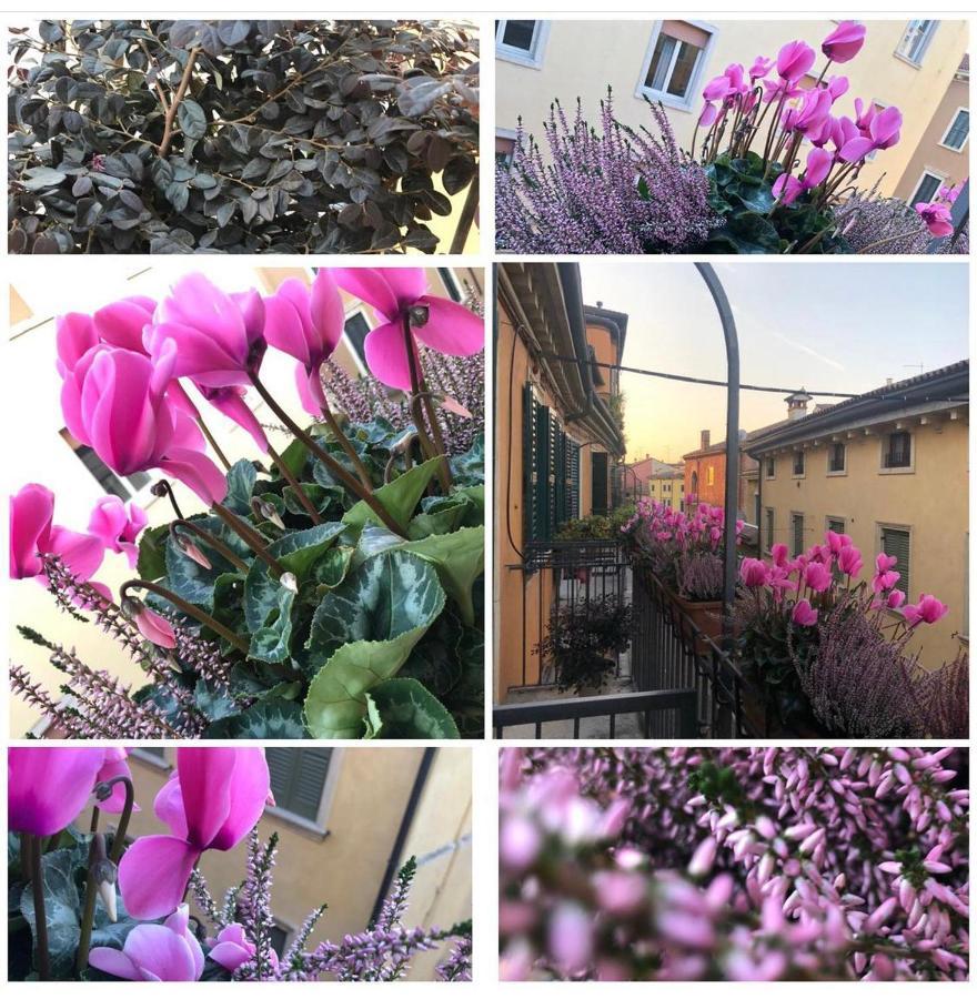 Veronantica B&B Экстерьер фото